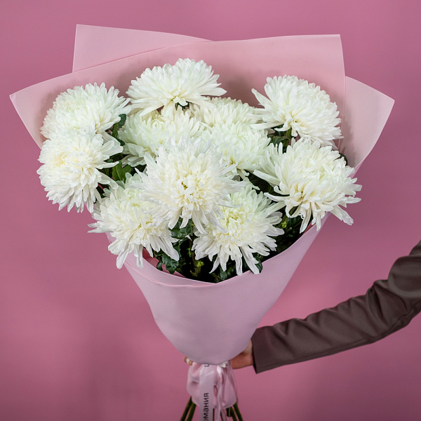 Купить Букет из 11 белых хризантем экстра в  с бесплатной доставкой: цена, фото, описание