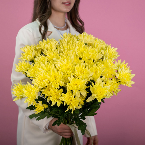 Хризантема кустовая желтая 1 Купить Хризантема кустовая желтая в  с бесплатной доставкой: цена, фото, описание