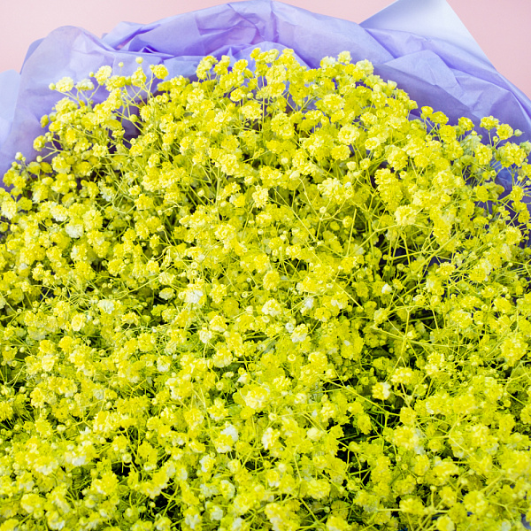 Купить Букет из желтых гипсофил в  с бесплатной доставкой: цена, фото, описание