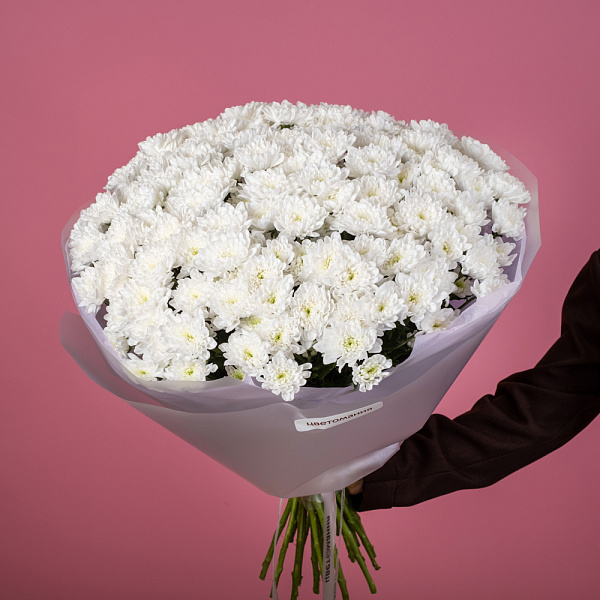 Купить Букет из 25 белых кустовых хризантем в  с бесплатной доставкой: цена, фото, описание