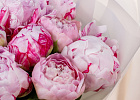 Купить Букет из 9 розовых пионов (Премиум) в  с бесплатной доставкой: цена, фото, описание