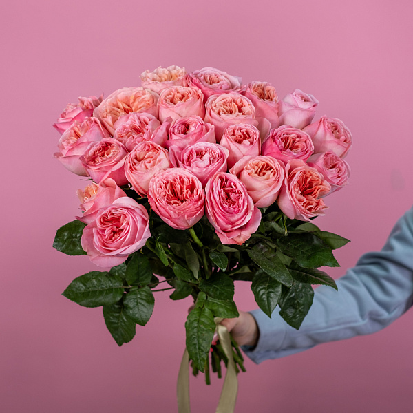 Купить Пионовидная роза 50 см Pink Expression (Эквадор) в  с бесплатной доставкой: цена, фото, описание