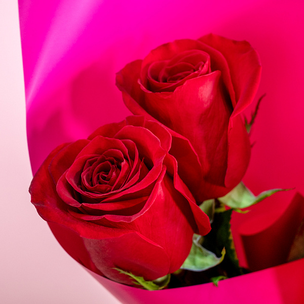 Купить Букет из 2 красных роз 50 см (Эквадор) в  с бесплатной доставкой: цена, фото, описание