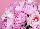 Купить Пионы розовые (Премиум) в  с бесплатной доставкой: цена, фото, описание
