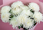 Купить Букет из 11 белых хризантем экстра в  с бесплатной доставкой: цена, фото, описание