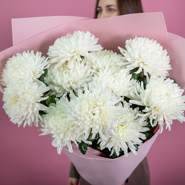 Купить Букет из 11 белых хризантем экстра в  с бесплатной доставкой: цена, фото, описание