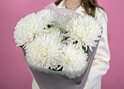 Купить Букет из 7 белых хризантем экстра в  с бесплатной доставкой: цена, фото, описание