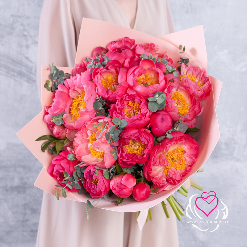 Букет из 25 коралловых пионов (Премиум) с эвкалиптом