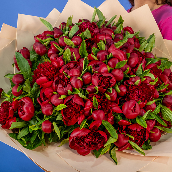 Купить Букет из 101 бордового пиона (Премиум) в  с бесплатной доставкой: цена, фото, описание