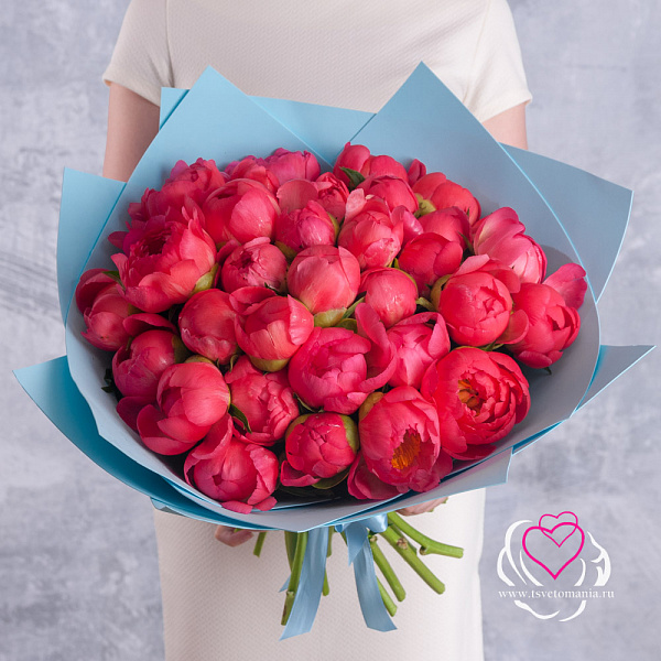 Купить Букет из 35 коралловых пионов (Стандарт) в  с бесплатной доставкой: цена, фото, описание