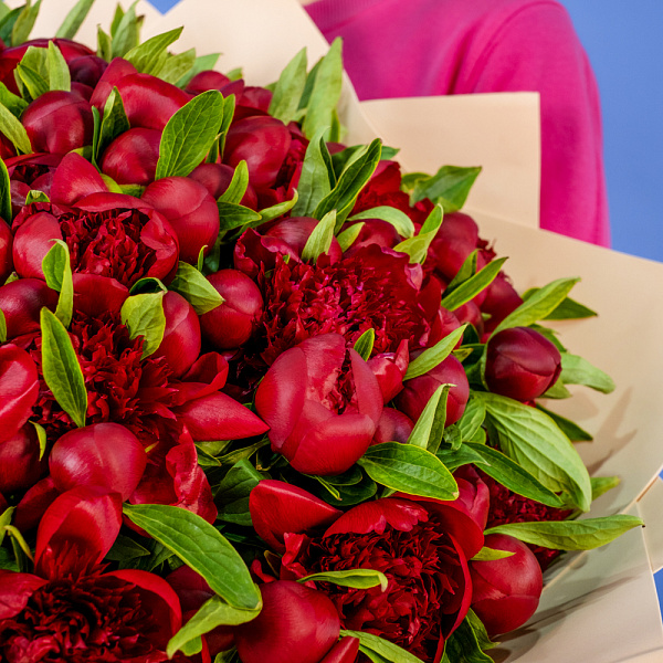 Купить Букет из 101 бордового пиона (Премиум) в  с бесплатной доставкой: цена, фото, описание