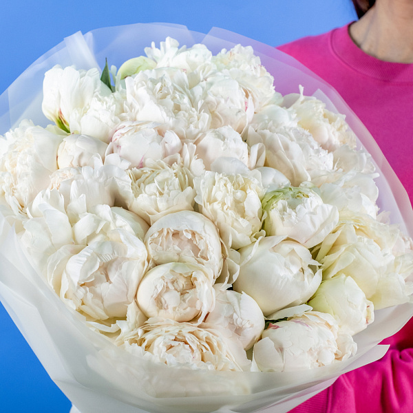Купить Букет из 35 белых пионов (Премиум) в  с бесплатной доставкой: цена, фото, описание