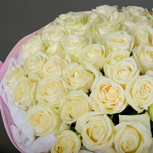 Купить Букет из 51 белой розы 60 см (Россия) в упаковке в  с бесплатной доставкой: цена, фото, описание