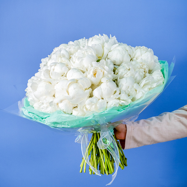 Купить Букет из 50 белых пионов (Премиум) в  с бесплатной доставкой: цена, фото, описание