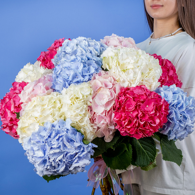 Букет из 15 гортензий микс