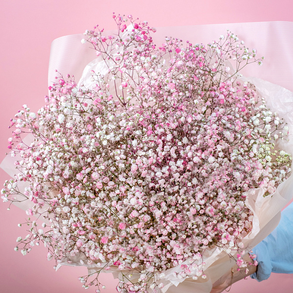 Купить Гипсофилы розово-белые в  с бесплатной доставкой: цена, фото, описание