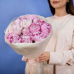 Купить Букет из 11 розовых пионов (Премиум) в  с бесплатной доставкой: цена, фото, описание