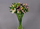 Купить Охапка альстромерий в  с бесплатной доставкой: цена, фото, описание