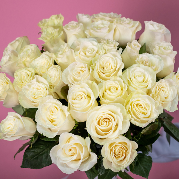 Купить Букет из 35 белых роз 50 см (Эквадор) под ленту в  с бесплатной доставкой: цена, фото, описание