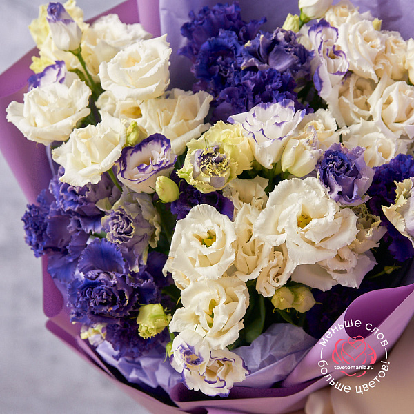 Купить Букет из 15 белых и фиолетовых эустом микс в  с бесплатной доставкой: цена, фото, описание