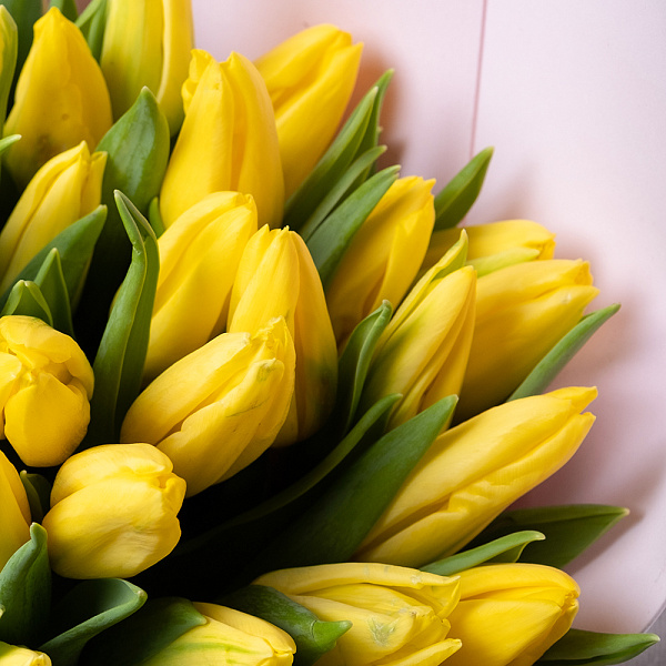 Купить Букет из 35 жёлтых тюльпанов в  с бесплатной доставкой: цена, фото, описание