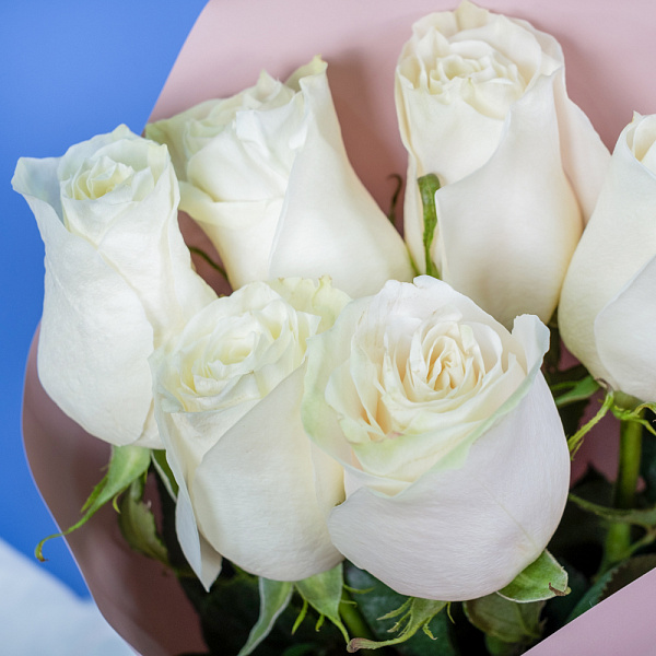 Купить Букет из 6 белых роз 50 см (Эквадор) в  с бесплатной доставкой: цена, фото, описание