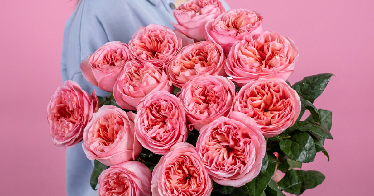 Пионовидная роза 70 см Pink Expression (Эквадор) купить в Санкт