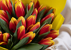 Купить Букет 35 красно-желтых тюльпанов в  с бесплатной доставкой: цена, фото, описание