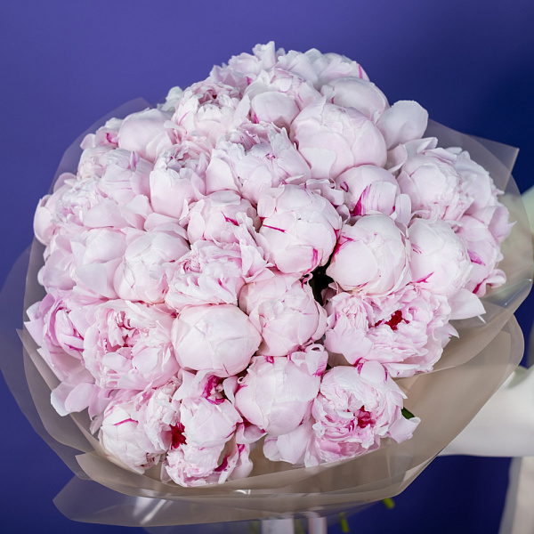Купить Букет из 35 розовых пионов (Премиум) в  с бесплатной доставкой: цена, фото, описание