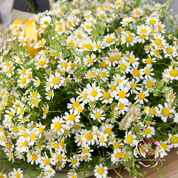 Купить Букет «Русское поле» в  с бесплатной доставкой: цена, фото, описание