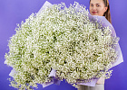 Купить Букет из 101 гипсофилы в  с бесплатной доставкой: цена, фото, описание