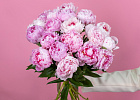 Купить Пионы розовые (Премиум) в  с бесплатной доставкой: цена, фото, описание