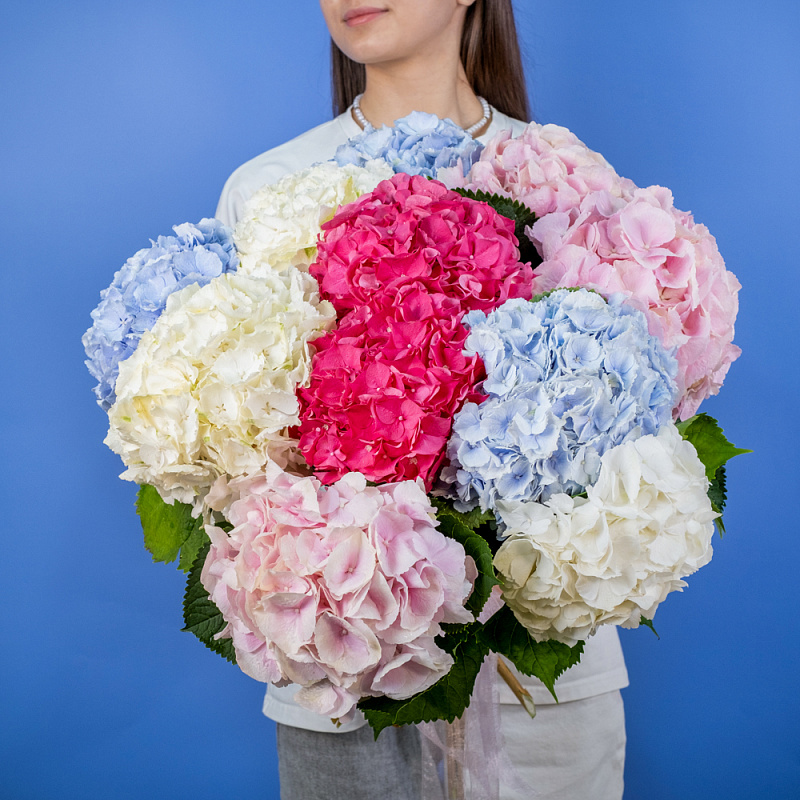 Букет из 11 гортензий микс