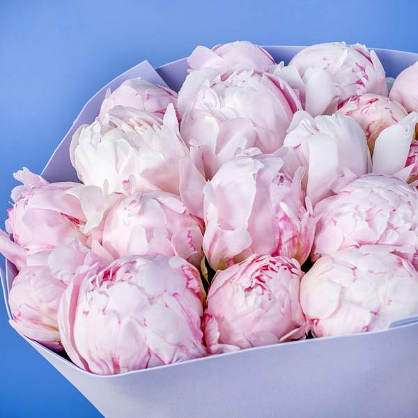 Купить Букет из 20 розовых пионов (Премиум) в  с бесплатной доставкой: цена, фото, описание