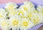 Купить Букет из белых георгинов в  с бесплатной доставкой: цена, фото, описание