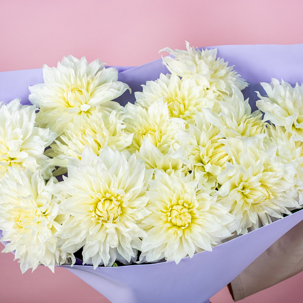 Купить Букет из белых георгинов в  с бесплатной доставкой: цена, фото, описание