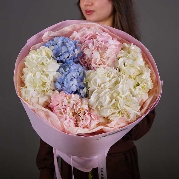 Купить Букет из 7 гортензий в упаковке в  с бесплатной доставкой: цена, фото, описание