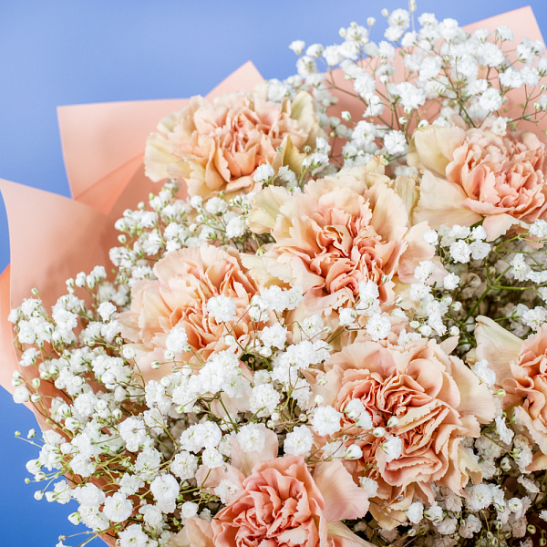 Купить Букет из гвоздик с гипсофилами в  с бесплатной доставкой: цена, фото, описание