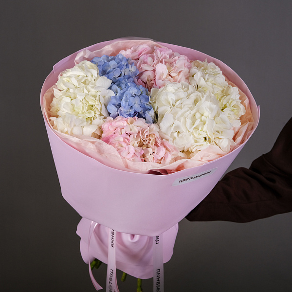 Купить Букет из 7 гортензий в упаковке в  с бесплатной доставкой: цена, фото, описание