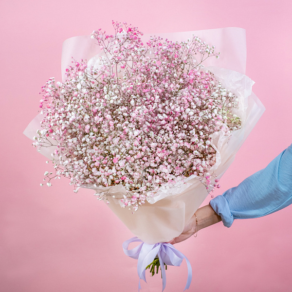 Купить Гипсофилы розово-белые в  с бесплатной доставкой: цена, фото, описание