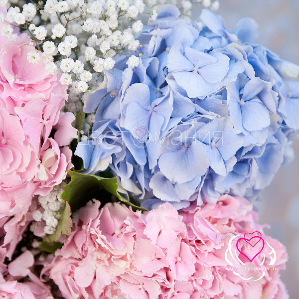 Купить Букет из гортензий с гипсофилами «Воздушный замок» в  с бесплатной доставкой: цена, фото, описание
