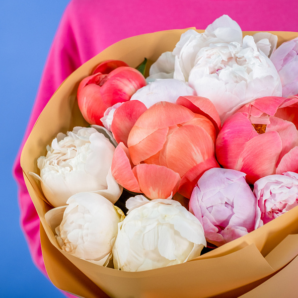 Купить Букет из 11 пионов микс (Премиум) в  с бесплатной доставкой: цена, фото, описание