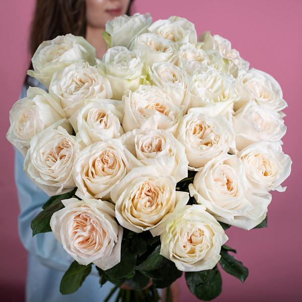 Купить Пионовидная роза Вайт Охара 50 см (Эквадор) в  с бесплатной доставкой: цена, фото, описание