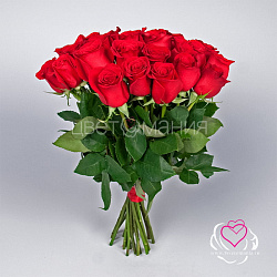 Купить Красная роза (Эквадор) 70 см в Санкт-Петербурге с бесплатной доставкой: цена, фото, описание