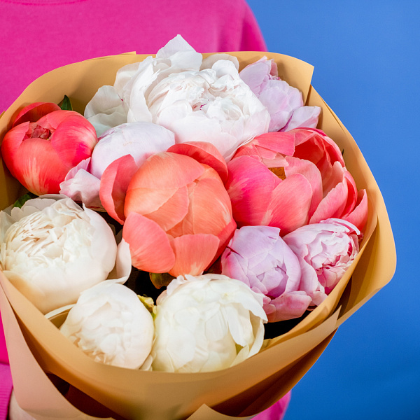 Купить Букет из 11 пионов микс (Премиум) в  с бесплатной доставкой: цена, фото, описание