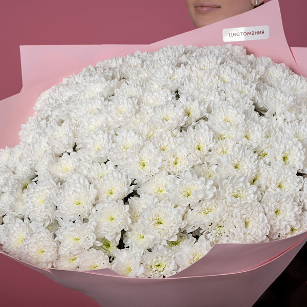 Купить Букет из 35 белых кустовых хризантем в  с бесплатной доставкой: цена, фото, описание