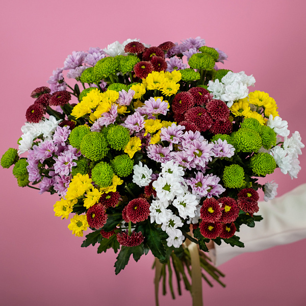 Купить Хризантемы сантини микс поштучно в  с бесплатной доставкой: цена, фото, описание