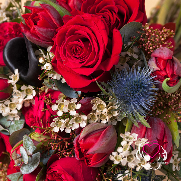 Купить Букет невесты из пионовидных роз Ред Пиано, калл и эрингиума в  с бесплатной доставкой: цена, фото, описание