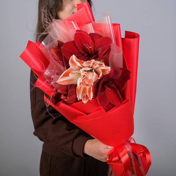 Купить Букет из 3 амариллисов в  с бесплатной доставкой: цена, фото, описание