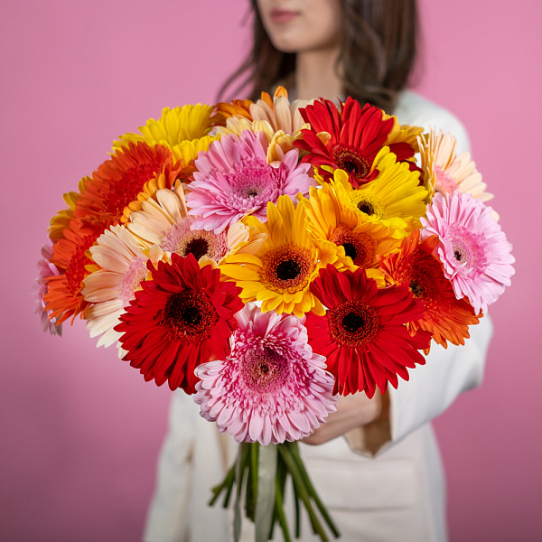 Купить Гербера микс в  с бесплатной доставкой: цена, фото, описание